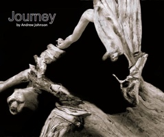 photography book for sale
