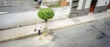 photograph of people on street in Havana Cuba