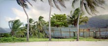 photograph of wrecked ship