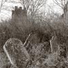 photograp of ancient church- Church TAvern Merthyr