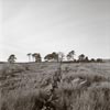 photograph of old farm buildings and ruined wall Brecon Beacons National Park