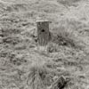 photograph of old mine relics and workings