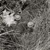 photograph of old mine relics and workings