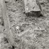 photograph of old mine relics and workings